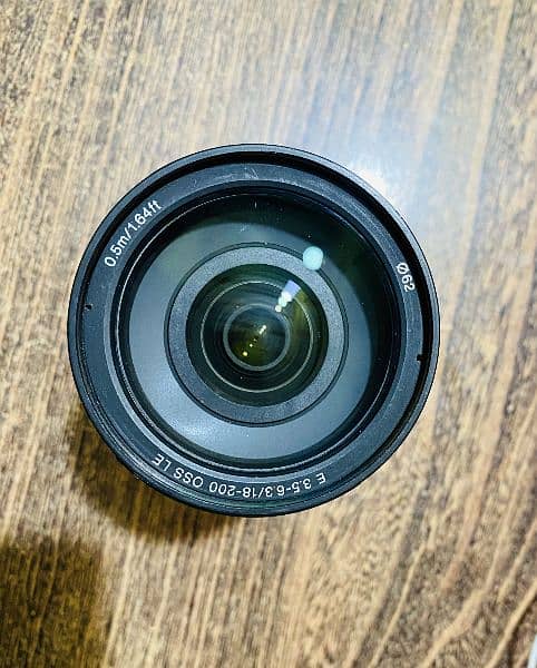 Sony 18-200mm f/3.5-6.3 OSS Lens 2