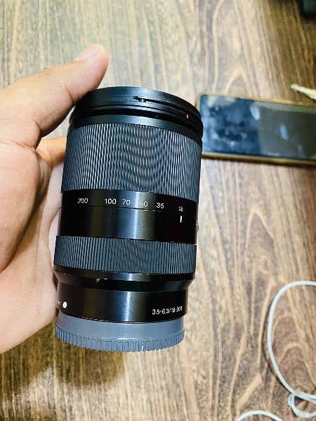 Sony 18-200mm f/3.5-6.3 OSS Lens 3