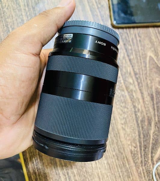 Sony 18-200mm f/3.5-6.3 OSS Lens 6