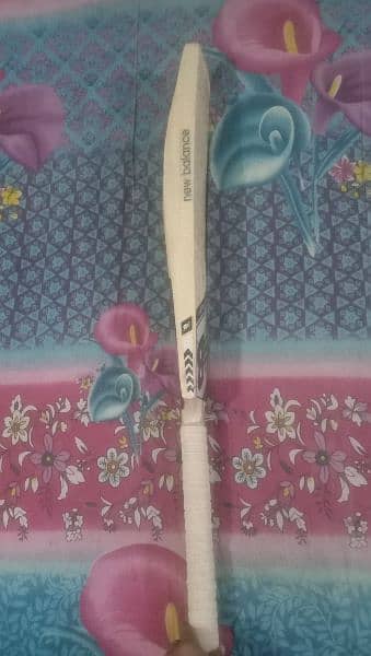 hardball cricket bat 1