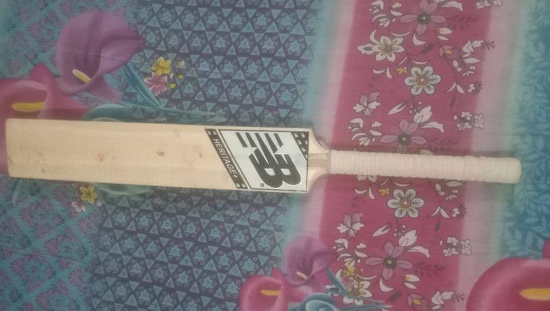 hardball cricket bat 2