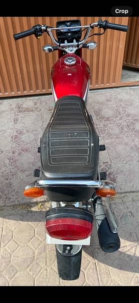 Honda 125 2023 10