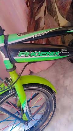 phoenix bicycle 0