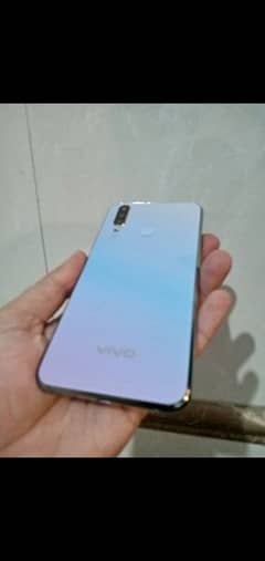 vivo