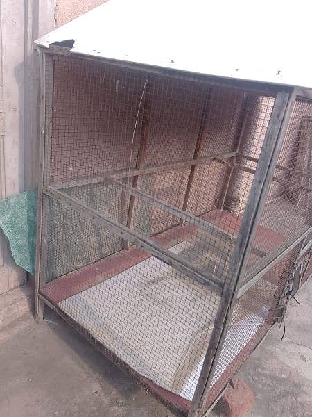 bird cage full size for parrot and hen 3