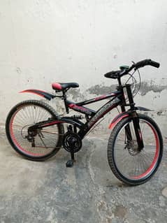 Mountain bicycle