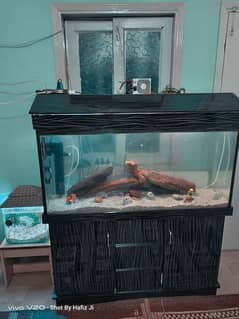 4 ft Feet Aquarium 8mm Glass NS 803 Filter with Sump & Heater