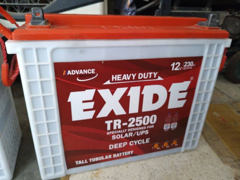 Exide 2 Tall Tubular Batteries 230AH 1