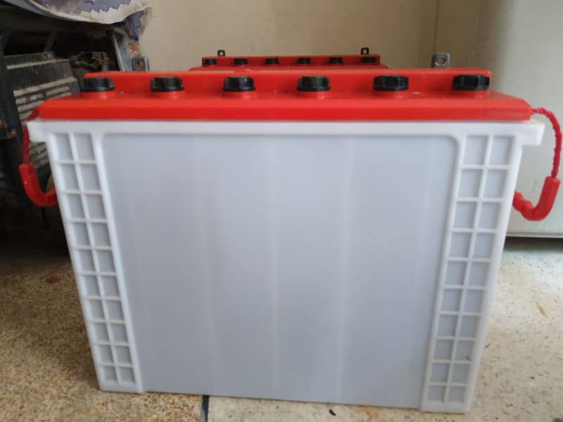 Exide 2 Tall Tubular Batteries 230AH 5