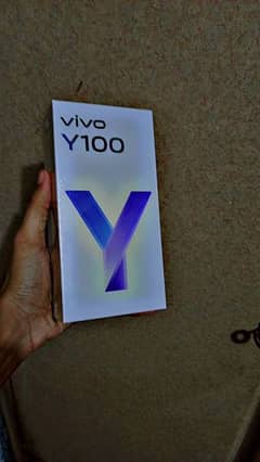 vivo y100 8/256 0