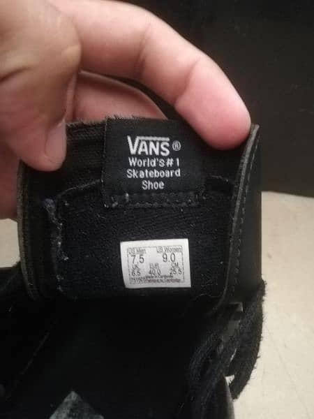 vans  long shoes 1