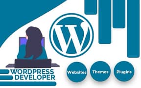 wordpress developer