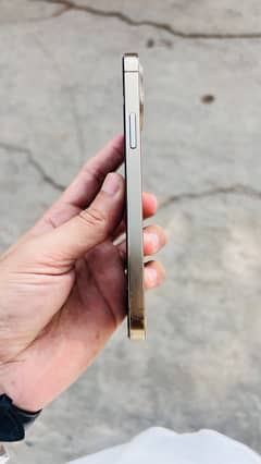 iPhone 12 Pro PTA 0