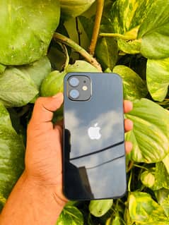 Iphone 12 64gb jv non pta 0