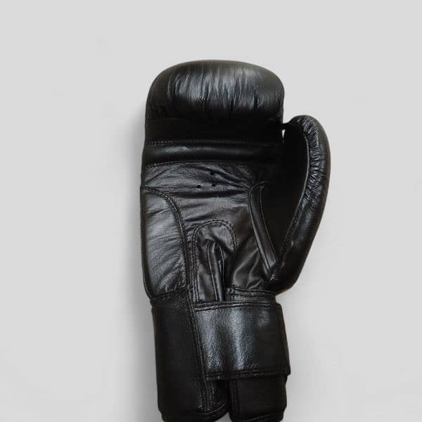 Boxing gloves 1