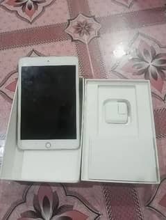 ipad mini 5 (cellular and wifi)