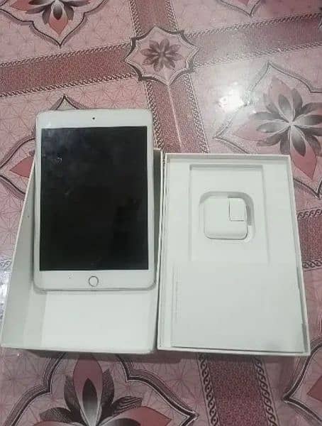 ipad mini 5 (cellular and wifi) 0