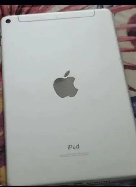 ipad mini 5 (cellular and wifi) 1