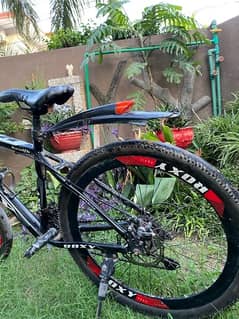 ROXY CYCLE FOR SELL 19 INCH ALLOY WEEL