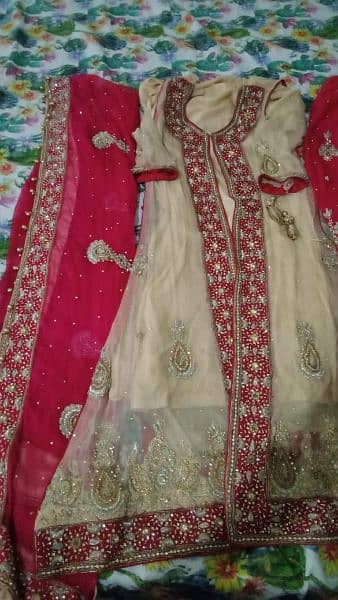 lengha for sale 6