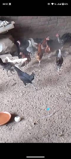 deai hen