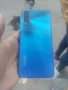 vivo