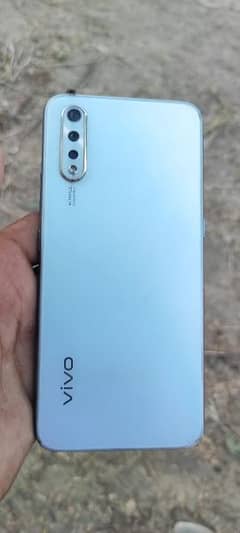 vivo