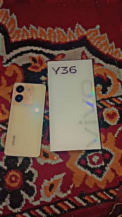 vivo y 36 16 GB ram 256 GB memory