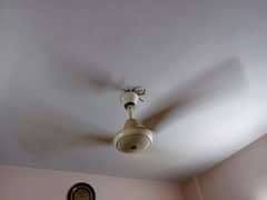 50 Watts energy saving fan