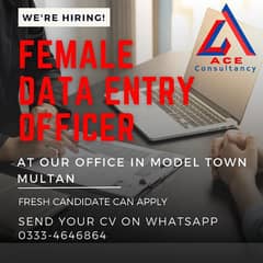 Female Data Entry Officer & Study Advisor Required in Model Town Multn