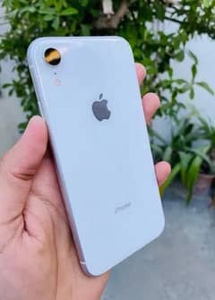 iPhone XR pta proved 64gb need cash serious buyer