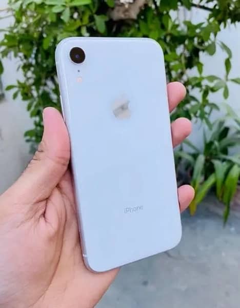 iPhone XR pta proved 64gb need cash serious buyer 1