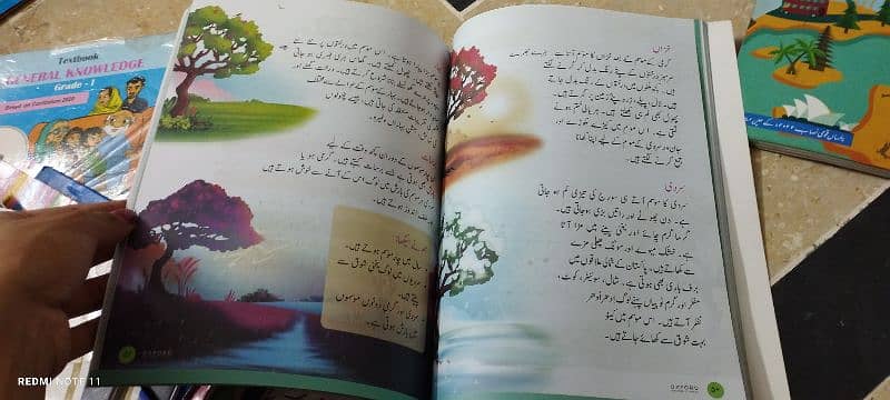 Books for Sir Syed/Allied School 7