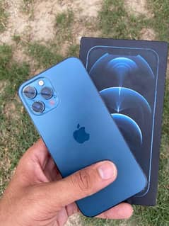 iPhone 12 pro max PTA APPROVED