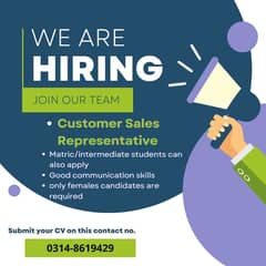 customer sales representative