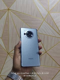 SHARP AQUOS R7
12GB RAM 256GB ROM
*KING OF PUBG*