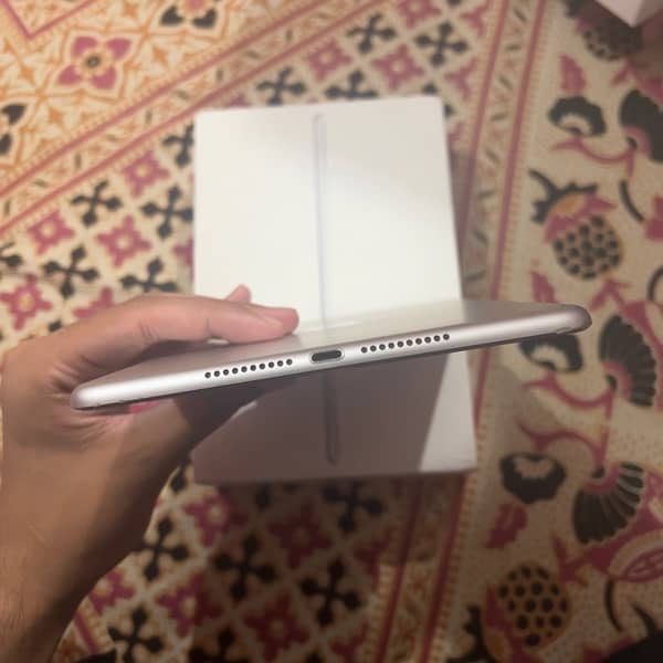 iPad mini  5 0