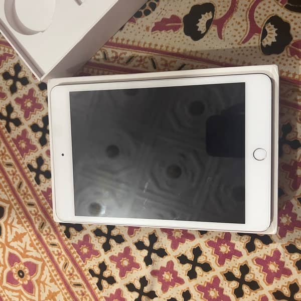 iPad mini  5 1