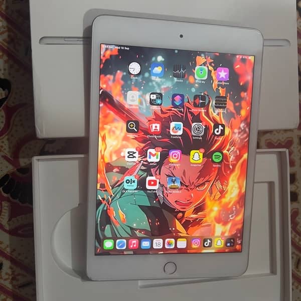 iPad mini  5 6