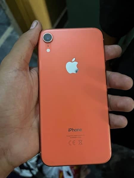 i phone xr 1