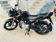 Yamaha YBR 125 2024