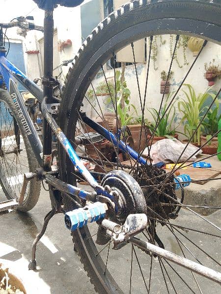 cycle for sale 2