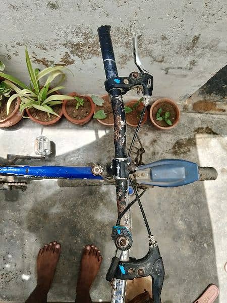 cycle for sale 4