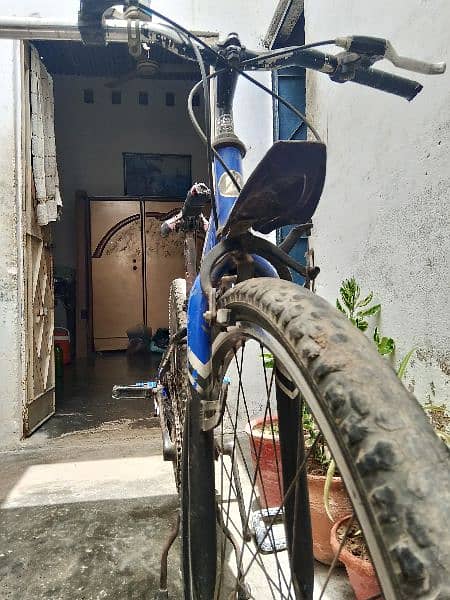 cycle for sale 5