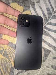 iphone 12 LLA model