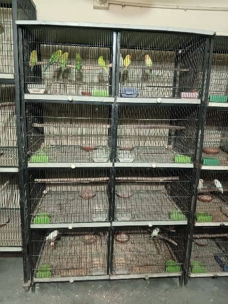 parrot Cage (pingra) 0