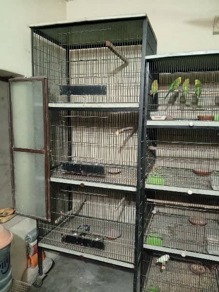 parrot Cage (pingra) 3