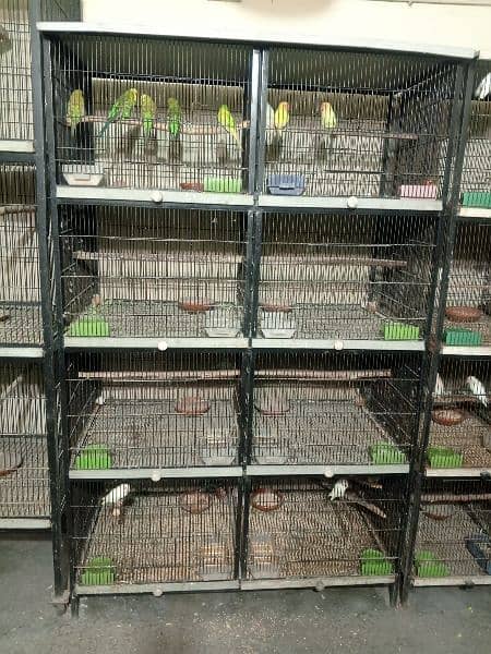 parrot Cage (pingra) 4