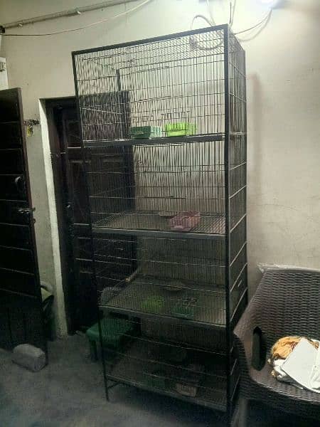 parrot Cage (pingra) 6