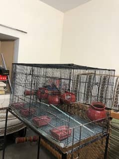 birds cage with stand for sale